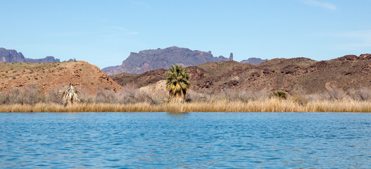 Scenic Colorado River in Arizona with foreground rushes, jagged mountain peaks under a blue sky.