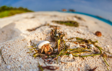 Malediven im lhaviyani Atoll