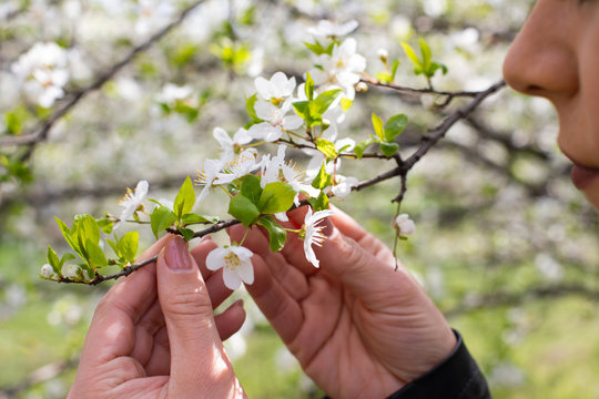 Allergic woman's hand outdoor on springtime