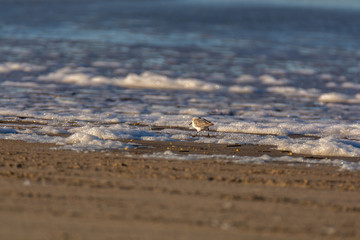 Dänemtk, Jammerbuchjt