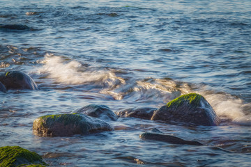 Obraz premium Granite stones covered with algae on the shore of the Baltic sea