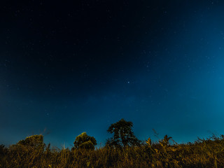 Shining star in night Sky at forest