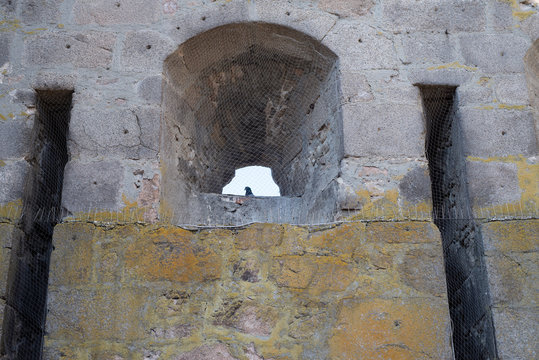 Taubenproblem, Taubenanwehrnetze und Gitter