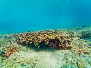 Underwater landscape with some fishes and rocks.