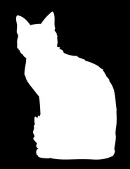Cute cat sitting. Iillustration of black silhouette of kitty on white background. Element for your design, print, sticker. Shadow