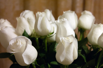 Bouquet, white roses, tenderness, spring, gift, delight