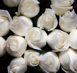 White roses BOUQUET wallpapper, background for text