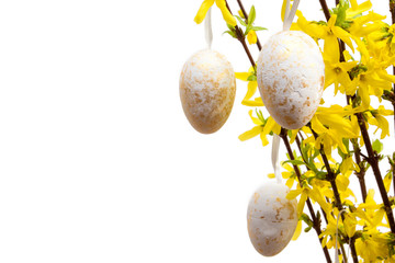Easter eggs hanging on a tree isolated on white background.
