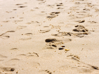 Footprints in the sand at the sea