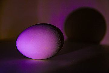 Unusual pirple egg with round shadow on wall
