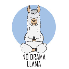 Cute llama doing yoga. Vector isolated © sonia