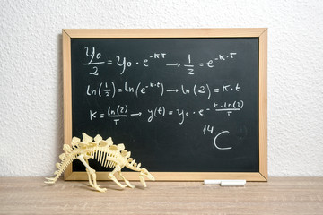 pizarra con formula matemática. datación de huesos. carbono 14