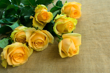 A bouquet of yellow roses on the table