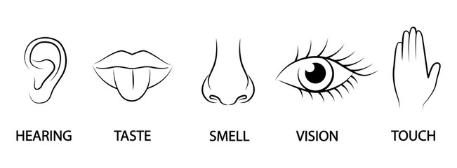 A set of five human senses. Ear, mouth, nose, eye, hand. Hearing, taste, smell, sight and touch.