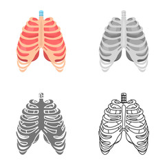 Human ribs and lungs colored flat, line, simple and monochrome icon set