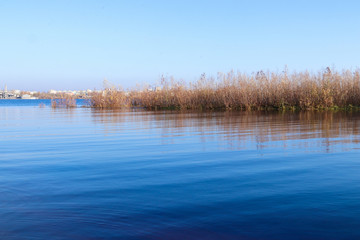 Autumn day in Arkhangelsk. Island Krasnoflotsky. the reflection in the water