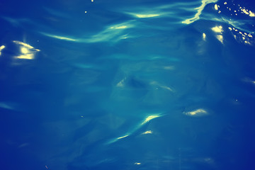 coral reef vintage toning / unusual landscape, underwater life, ocean nature