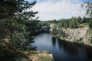 river in forest