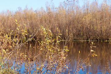 Obraz premium Autumn day in Arkhangelsk. View of the river Northern Dvina and river port in Arkhangelsk.