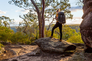 Female bushwalker with backpack walking in Australian bushland - 260285182