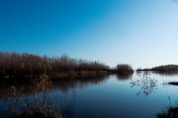Autumn day in Arkhangelsk. Island Krasnoflotsky. the reflection in the water