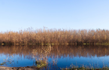 Autumn day in Arkhangelsk. Island Krasnoflotsky. the reflection in the water