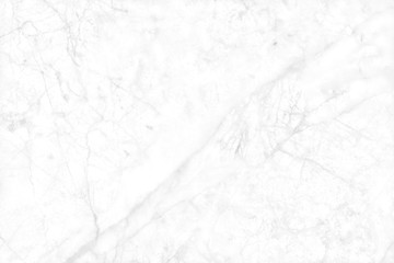 Obraz premium White gray marble texture background with high resolution, top view of natural tiles stone in luxury and seamless glitter pattern.
