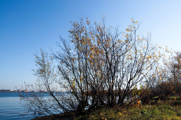Fototapeta na wymiar Autumn day in Arkhangelsk. View of the river Northern Dvina and river port in Arkhangelsk.