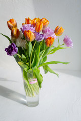 Bouquete of colorful spring tulips in a sunny day