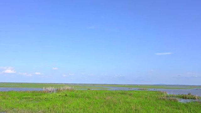 landscape Wetland nature 4K footage