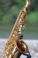 Saxophone