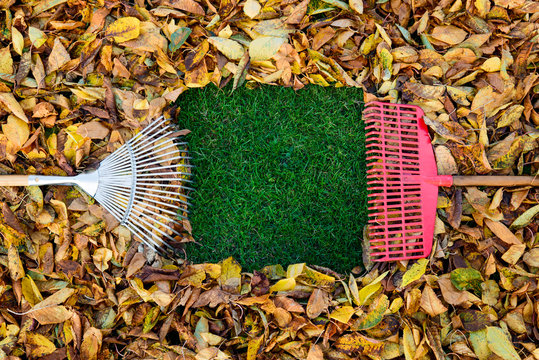 Herbstlaub - Gartenarbeit