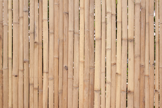 Old brown bamboo for make fence, hut or wall home in countryside.