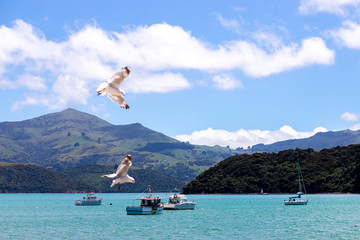 birds above mountains and teal lake