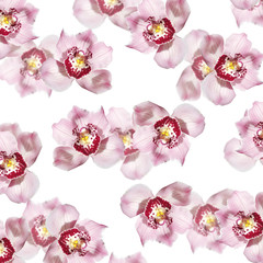 Beautiful floral background of pink orchids. Isolated
