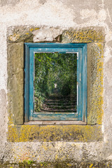 View of old window with frames in blue wood, glass with reflection of a staircase in the forest with tunnel effect