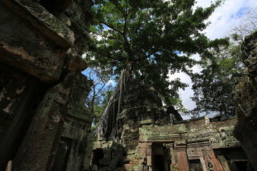 Naklejka premium Ta Som in angkor wat