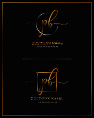 Initial P B PB handwriting logo vector. Letter handwritten logo template.