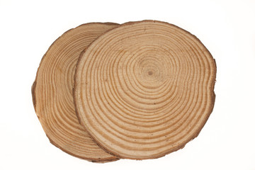 Two wooden stumps one up another isolated on the white background. Round cut down tree with annual rings as a wood texture.
