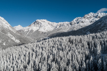 Panoramic view above the forest, winter landscape. Italian Alps