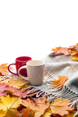 Autumn composition.