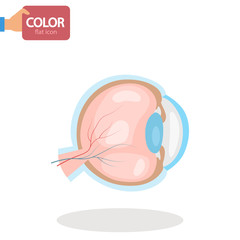 Human eyeball color vector icon. Flat design