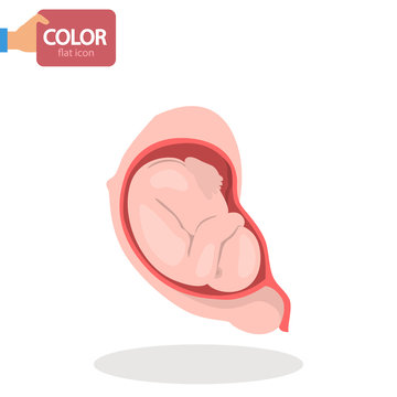 Baby in mom's belly color vector icon. Flat design