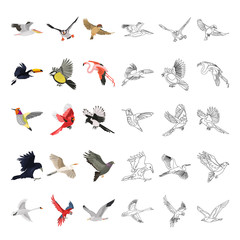 Flying color and line icons set vector concept