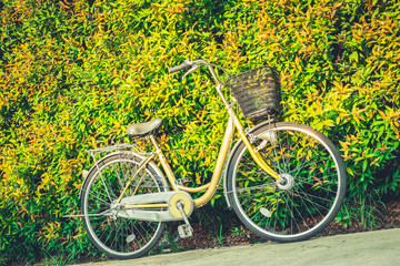 The vintage bicycle on colorful leaves wall background. Classic bike is friendly of environment.