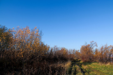 Fototapeta premium Autumn day in Arkhangelsk. View of the river Northern Dvina and river port in Arkhangelsk.
