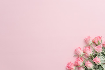 Fototapeta na wymiar Framework from roses on pink background. Flat lay.