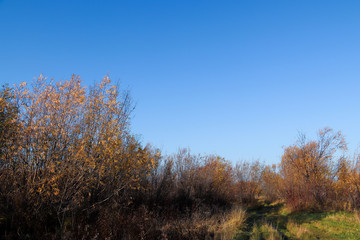 Autumn day in Arkhangelsk. View of the river Northern Dvina and river port in Arkhangelsk.
