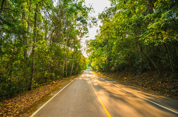 Obraz premium Tourist route in the national park area.14