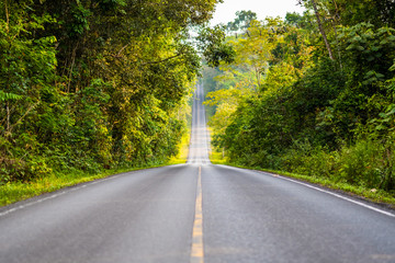 Tourist route in the national park area.21